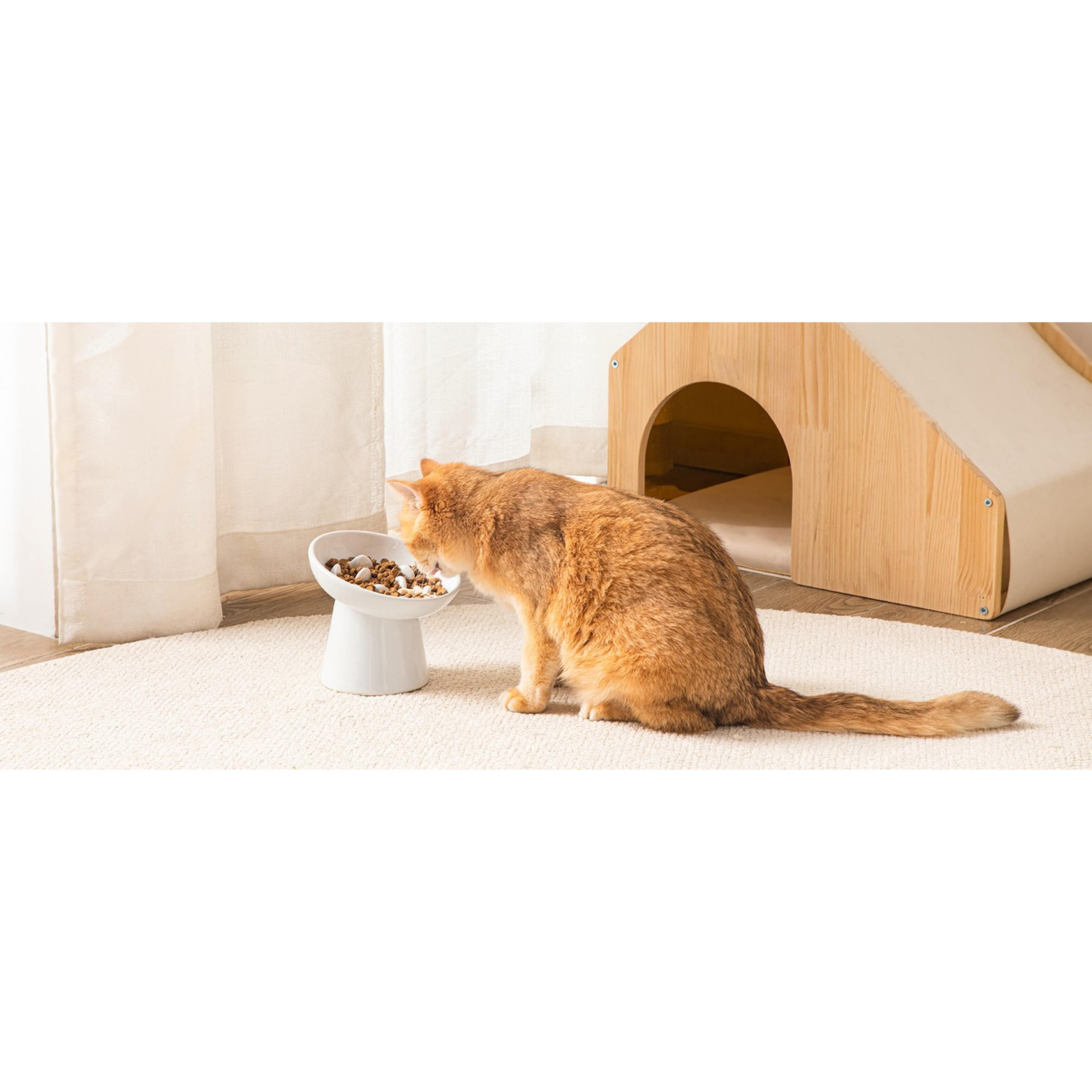 Elevated Ceramic Slow Feeder Cat Bowl, 6.25in Anti-Vomiting Bowl for Dry & Wet Cat Food, White, Elevated Bowl