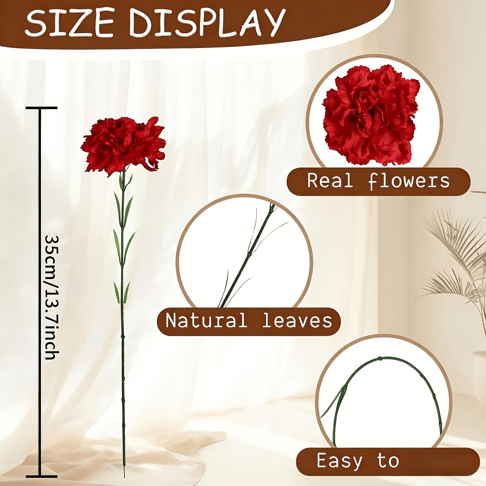 10pcs Artificial Carnations, Plastic & Realistic, for Weddings, Valentine’s, Mother’s Day, Seasonal Decor, Event Planners, Home Stylists
