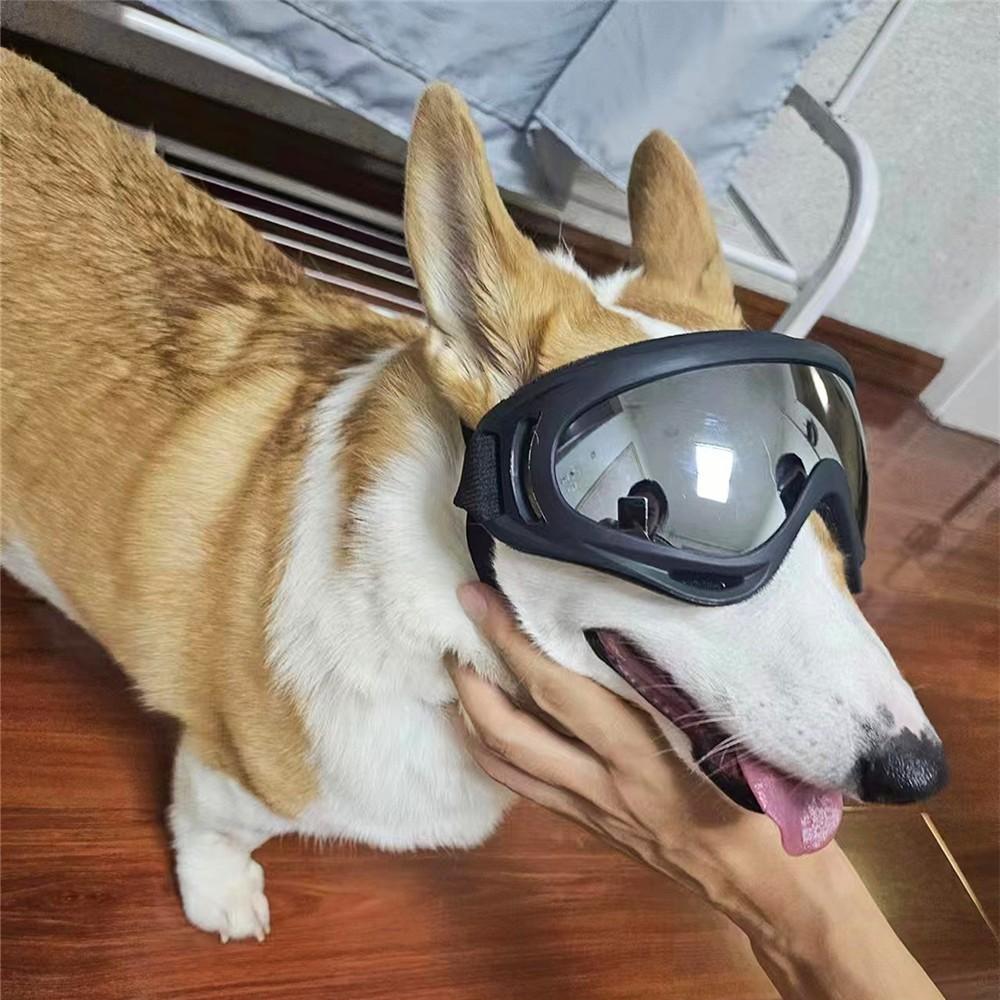 Adjustable Dog Goggles for Medium to Large Dogs, Outdoor Travel Eye Protection, Comfortable Pet Eyewear for Safe Adventures
