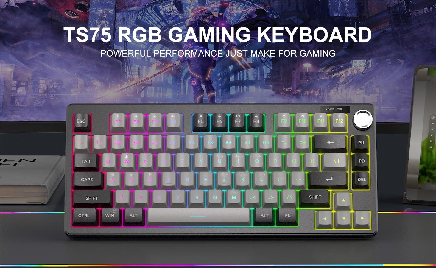 Magegee Mini 60% Gaming Keyboard, RGB Backlit 75 Key Ultra-Compact, Ts75 Ergonomic Waterproof, for PC, MAC, Ps4, Xbox One