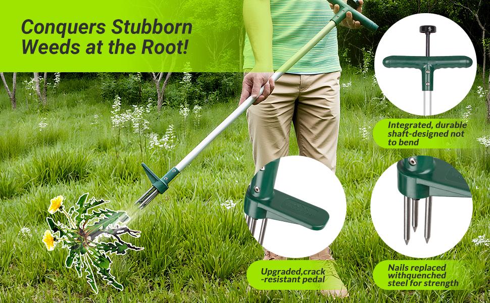 Classic Weeder Tool - Long Handle Weeder Puller with 3-Claw Head | Standing Root Extractor for Dandelions & Tough Grass| Garden Clearance Special (1 Pack)