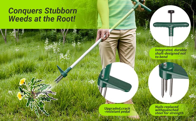 Classic Weeder Tool - Long Handle Weeder Puller with 3-Claw Head | Standing Root Extractor for Dandelions & Tough Grass| Garden Clearance Special (1 Pack)