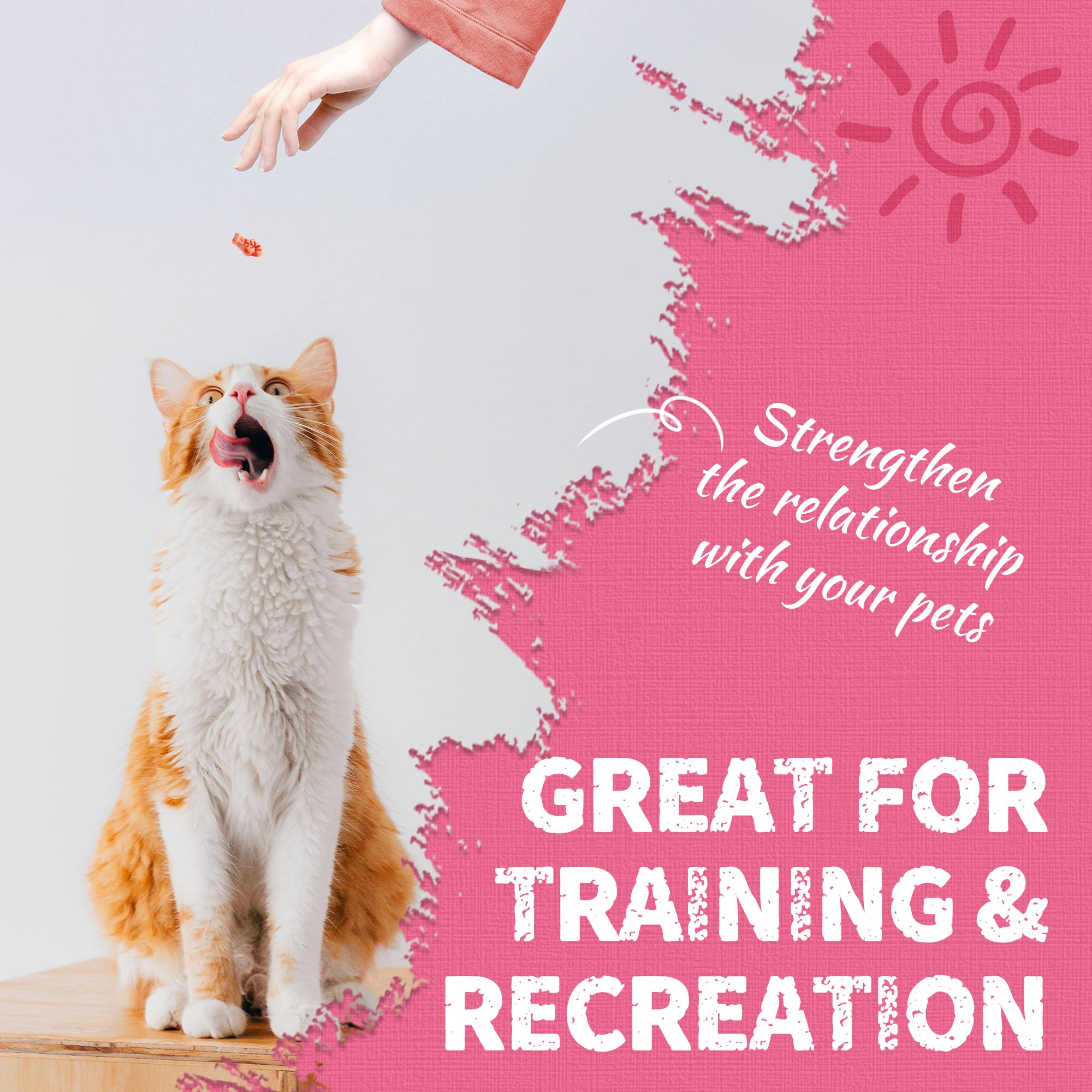 13.4 OZ Cat Treats Urinary Tract Health Supplement Cranberry and D-Mannose for Kidney Bladder and UT Support Salmon Flavor Crunchy Chews Cat Loves Food Natural