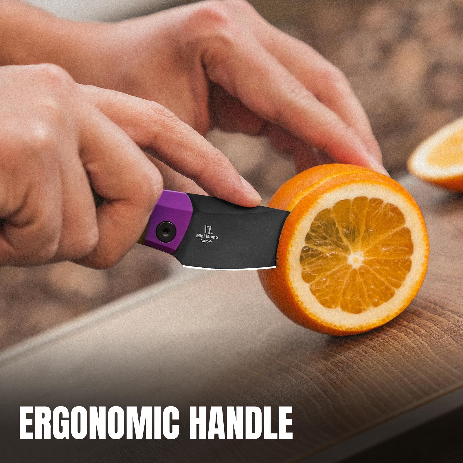 Kizer Mini Momo Nitro-V Aluminum(Purple)+PEI V3663A1