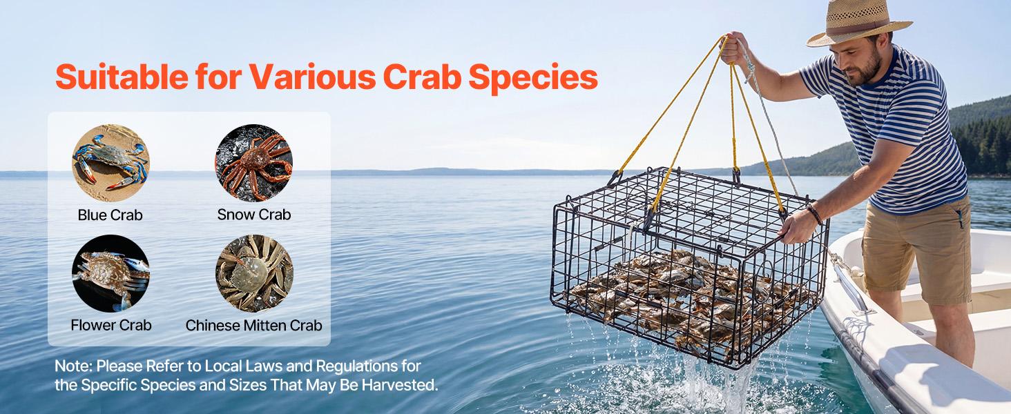 VEVOR Crab Trap, 2 Packs, 24.4x24.4x11.8 inch Heavy Duty Large Crab Pot Trap for Dungeness, Black PVC Coated Wire Mesh for Stealth, with Gauge, Red/White Float, 100ft Leaded Core Rope, and Gloves