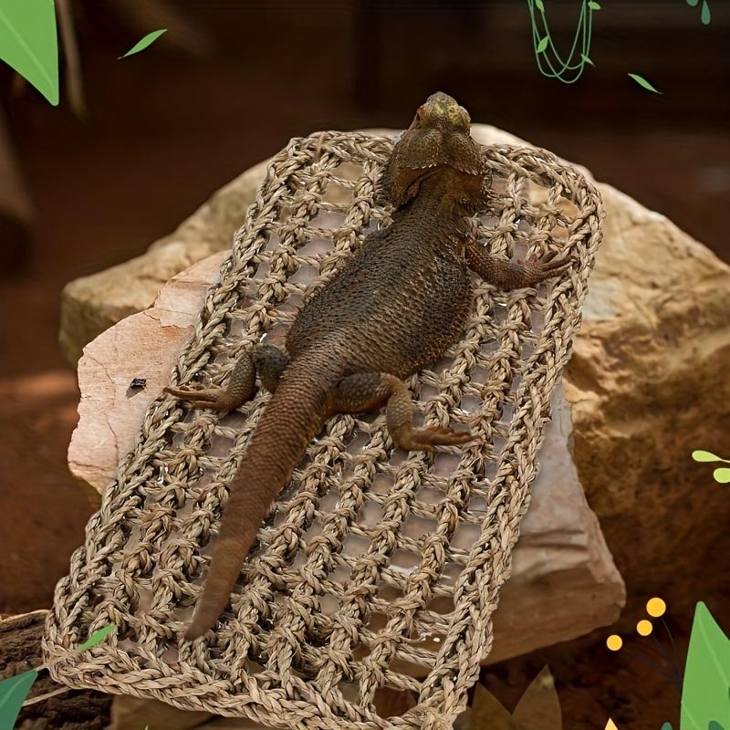 Bearded dragon hammock lizard reptile mountain climbing lounge chair seaweed fiber habitat tank accessories jungle toys suitable for hermit crab gecko snake iguana amphibians.