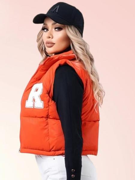 Women's Solid Color Casual Fall Winter Vest, Fitted Long Sleeve Baseball Vest, Versatile Plain Knit Waistcoat for Ladies