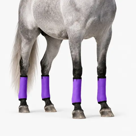 4 Counts Horse Leg Protectors, Breathable Equestrian Gear, Professional Anti-Mosquito & Anti-Insect Horse Leg Wraps, Equestrian Supplies