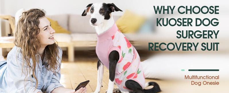 Kuoser Recovery Suit for Dogs Cats After Surgery, Professional Pet Recovery Shirt Dog Abdominal Wounds Bandages, Substitute E-Collar & Cone,Prevent Licking Dog Onesies Pet Surgery Recovery Suit, Fuddle wuddle patch puppy Kuoser Recovery Suit for Dogs Cats After Surgery, Professional Pet Recovery Shirt Dog Abdominal Wounds Bandages, Substitute E-Collar & Cone,Prevent Licking Dog Onesies Pet Surgery Recovery Suit, Fuddle wuddle patch puppy