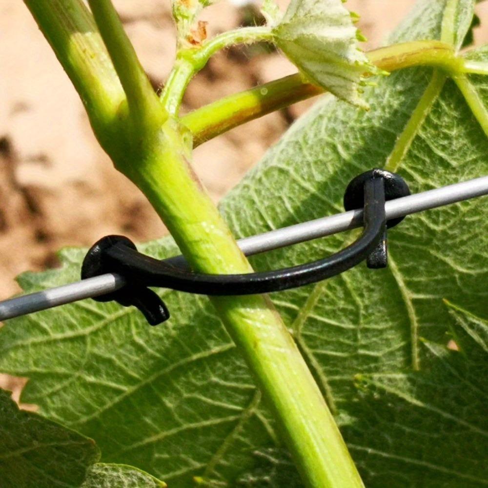 200pcs fixed clip garden gardening fixed clip plant support sapling branch fixed clip blueberry seedling hook bonsai multifunctional gardening clip grape blueberry clip kiwi fruit binding clip