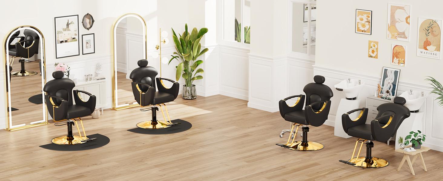 Baasha Reclining Hair Salon Chair, All Purpose Gold Salon Chair for Hair Stylist, Tattoo Chair, Weight Capacity 330 lbs