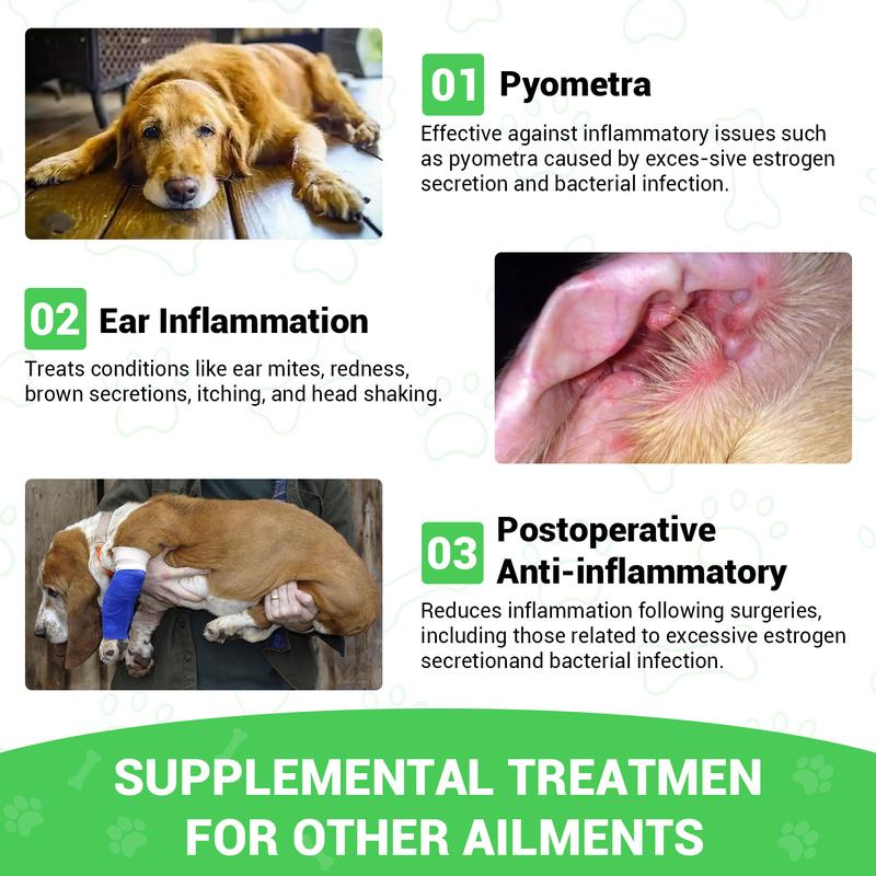 ProFluffyBio Milk Thistle for Dogs - Liver & Kidney Support, Natural Detox & Hepatic Health, with Wild Alaskan Salmon Oil & Curcumin, Omega 3 and Silymarins - Veterinarian-Formulated Herbal Supplement 2 Oz