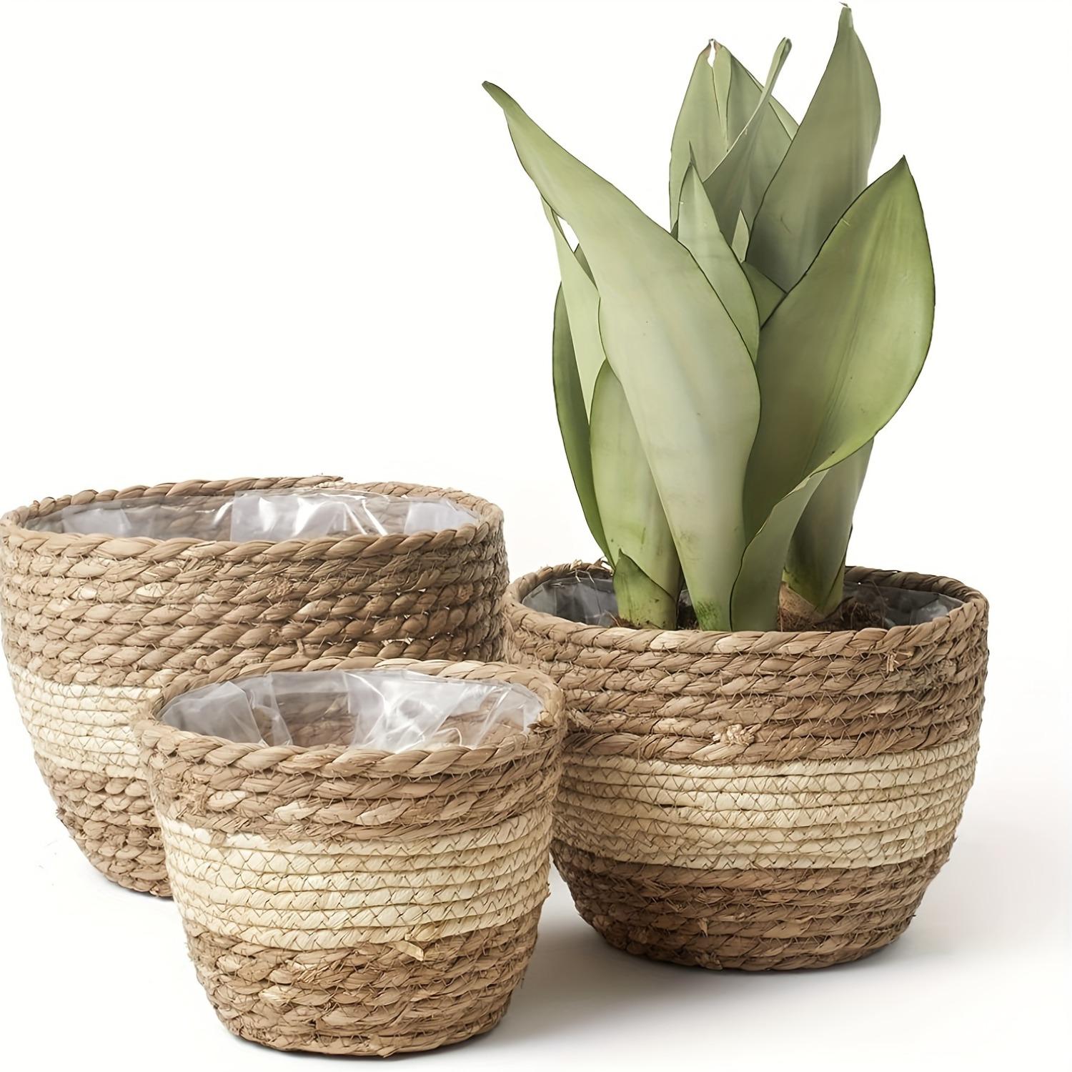 3 Pack Handwoven Seagrass Plant Baskets with Artificial Moss Lining, Breathable Flower Planter Pots, Lightweight Storage Baskets for Succulents, Herbs and Various Potted Plants, Stylish Decor for Indoor and Outdoor Garden Layout