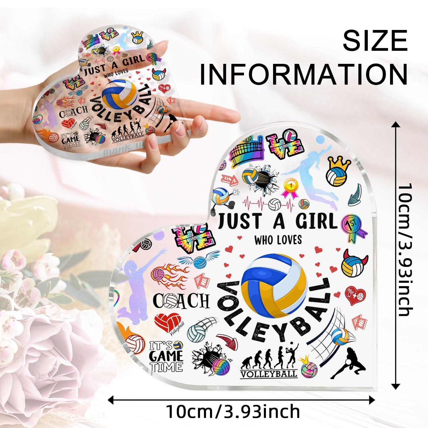 Volleyball Gifts for Women Men, 4x4 Inch Acrylic Plaque, Christmas Birthday Gift, Volleyballs Lovers, Universal Setting