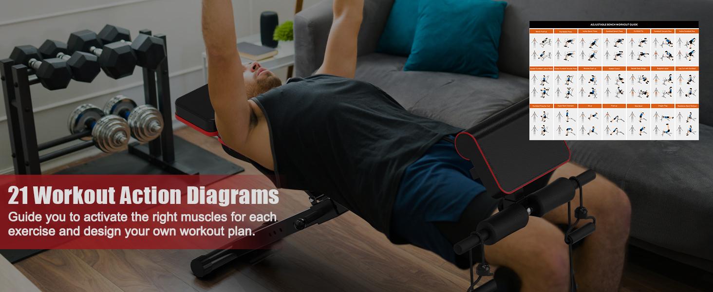 Bearbro 770 LB Adjustable Weight Bench Foldable Workout Bench Press for Full Body Strength Training, Incline Decline Bench with Fast Folding