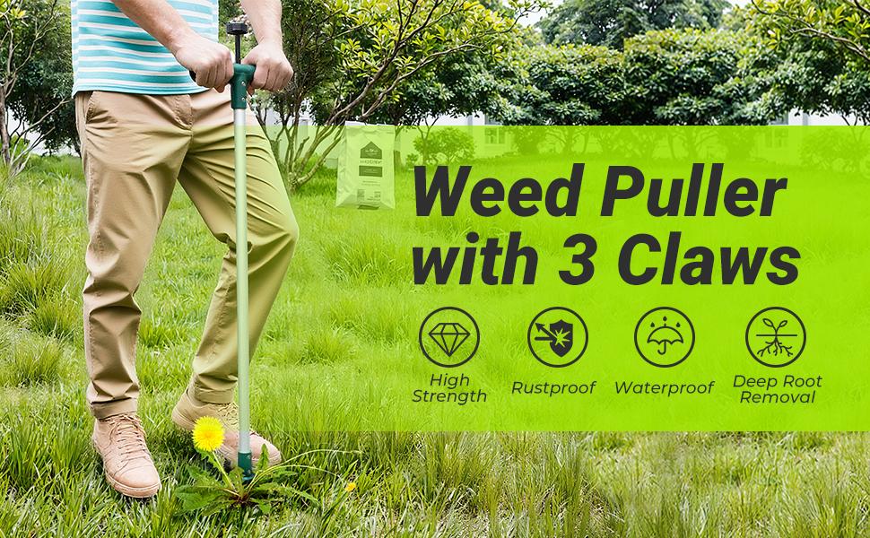 Classic Weeder Tool - Long Handle Weeder Puller with 3-Claw Head | Standing Root Extractor for Dandelions & Tough Grass| Garden Clearance Special (1 Pack) Classic Weeder Tool - Long Handle Weeder Puller with 3-Claw Head | Standing Root Extractor for Dandelions & Tough Grass| Garden Clearance Special (1 Pack)