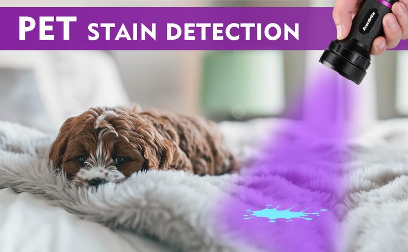 #JumpstartSale EverBrite UV Flashlight, LED Blacklight Flashlights, 395nm Black Light Flashlight for Pet Urine Detection, Scorpions, Dry Stains, Bed Bug (Batteries Included)