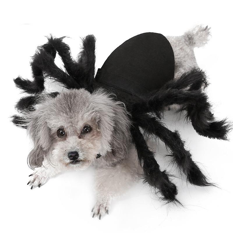 Cat Halloween Costume Cat Bat Wings - Pet Bat Costume Dress Costume Outfit Wing for Small Dogs Cats 2025 Newest Pet Halloween