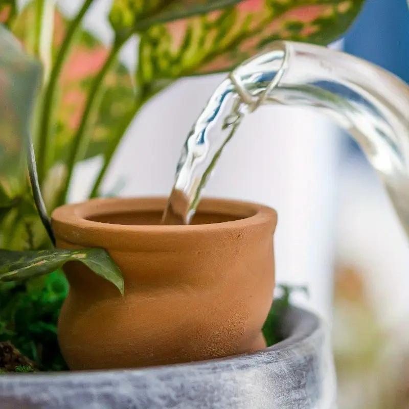 Spiral Design Watering Device, Creative Automatic Plant Watering Device, Drip Irrigation System for Indoor & Outdoor