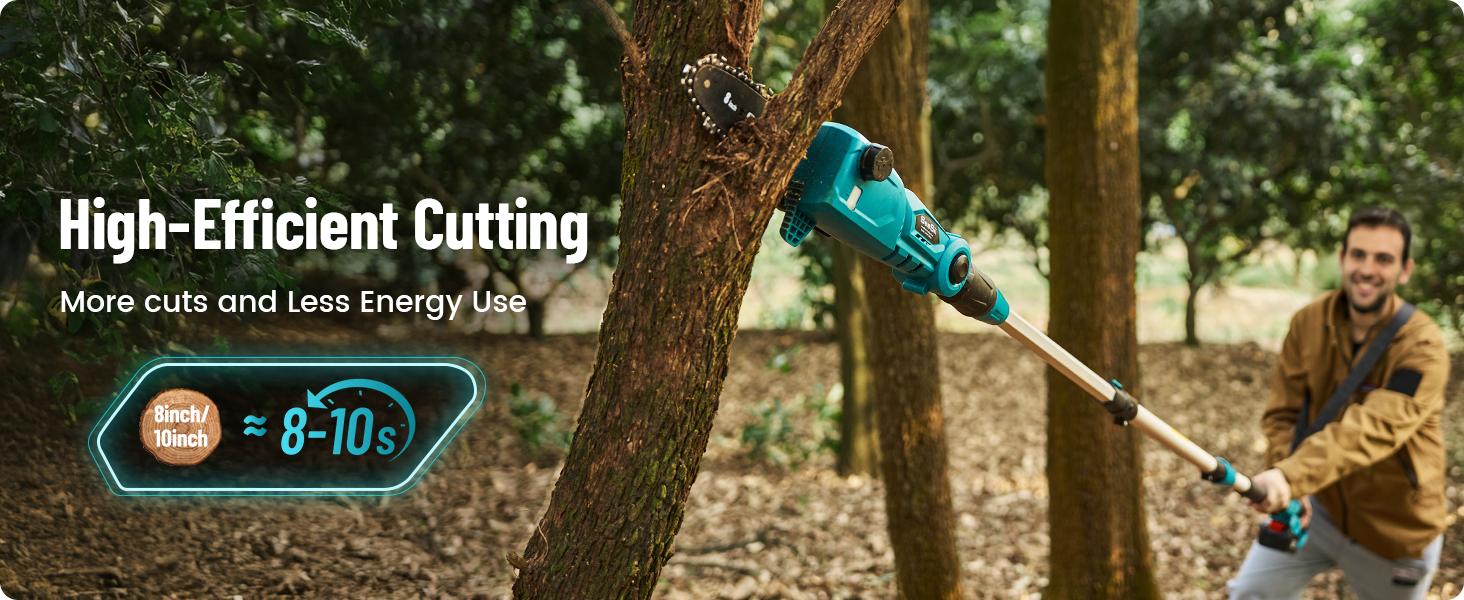 Seesii Electric Pole Saws for Tree Trimming, 10 Inch & 8 Inch Cordless Pole Chainsaw Bars with Extendable Rod (Up to 9.2ft), Auto Oiler, 4000mAh Battery Powered Tree Pruner for Bush & Branch Cutting CHT10 #TikTokShopBlackFriday