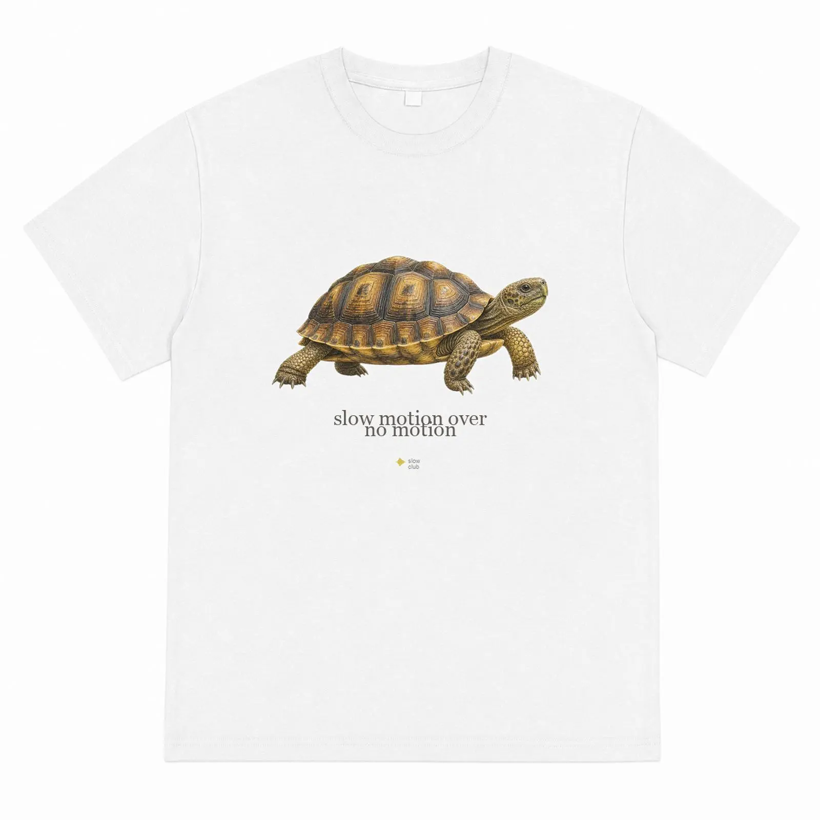Men's Vintage Print Turtle Graphic T Shirts - Casual Loose-Fit Crewneck Top in 100% Soft Cotton for All Seasons, 100% Cotton
