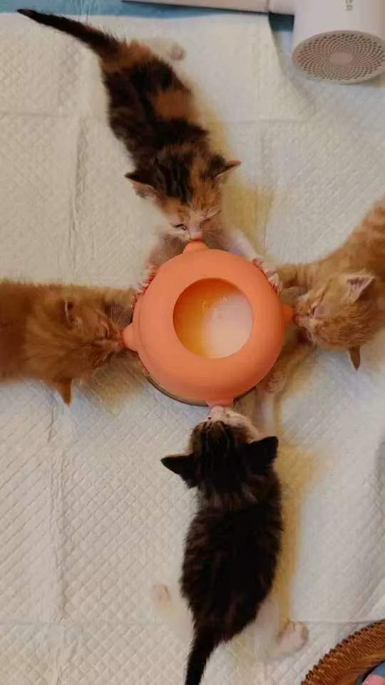 Pet Bionic Milk Feeder with 4 Soft Nipples, Silicone Suction Cup Anti-Tip Design, Feeding Supplies for Kittens Puppies Rabbits & Small Newborn Pets