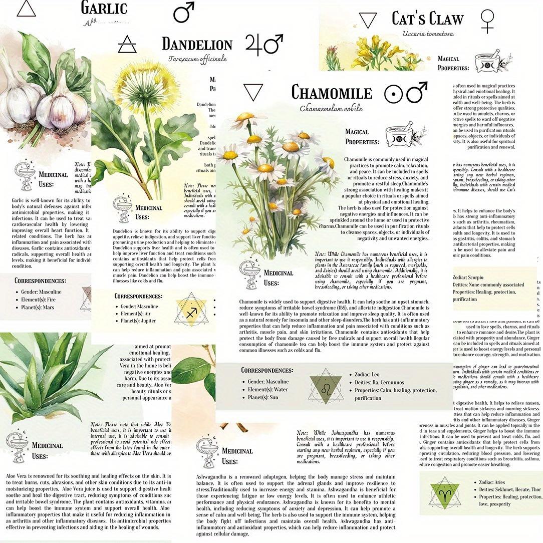 Omani Herbal Bible: The Healing Power of Omani Herbal Secrets - Spiral Notebook, Includes 100 Herbal Remedies, Herbalism Guide, and Herbal Techniques - 5.5X8.3 Inches
