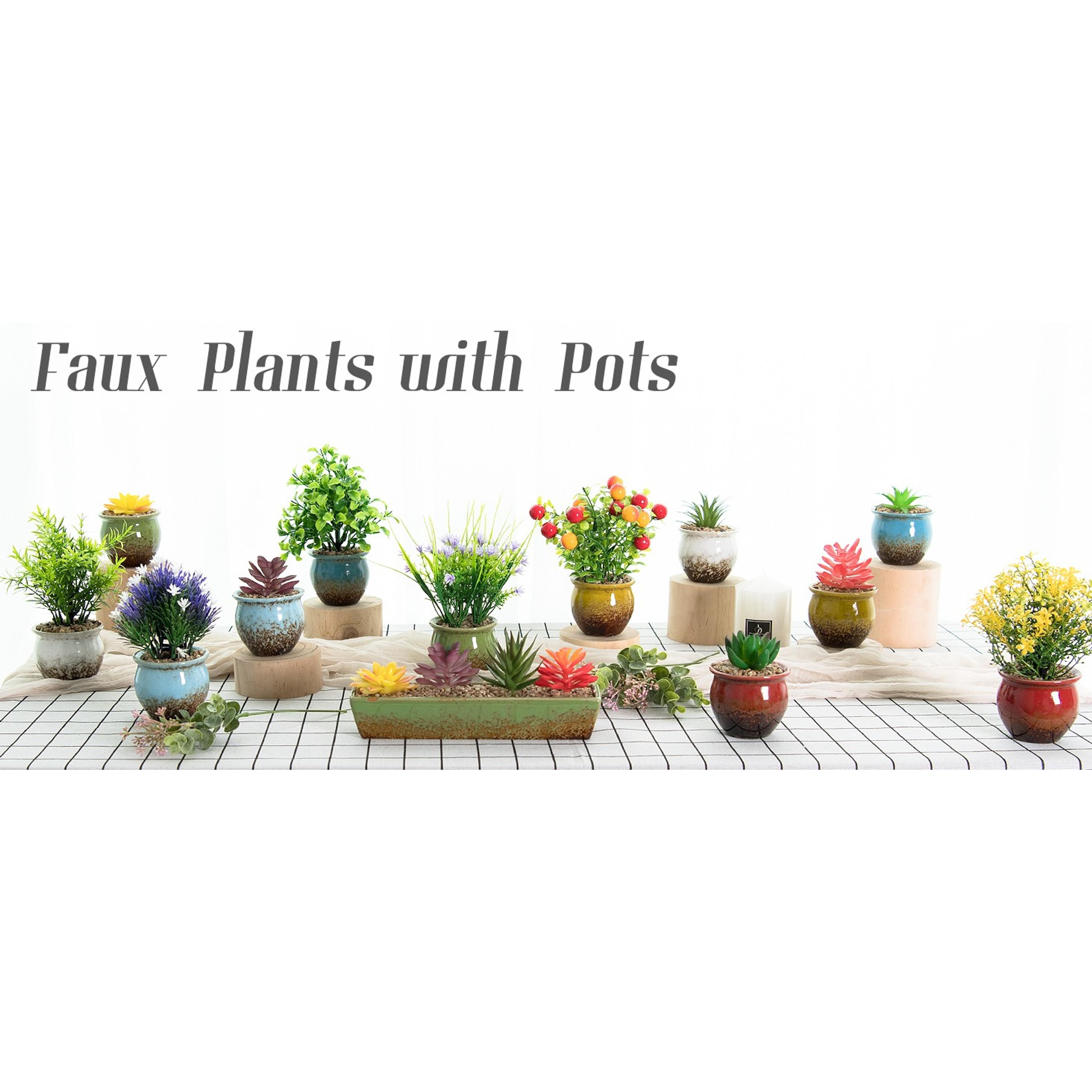 Succulent Pots - 11.5 Inch Ceramic Bonsai Pots with Drainage, Large Shallow Succulent Planters for Indoor Outdoor Plants, Round Glazed Cactus Flower Plant Container Bowl Home Desk Decor(Blue)