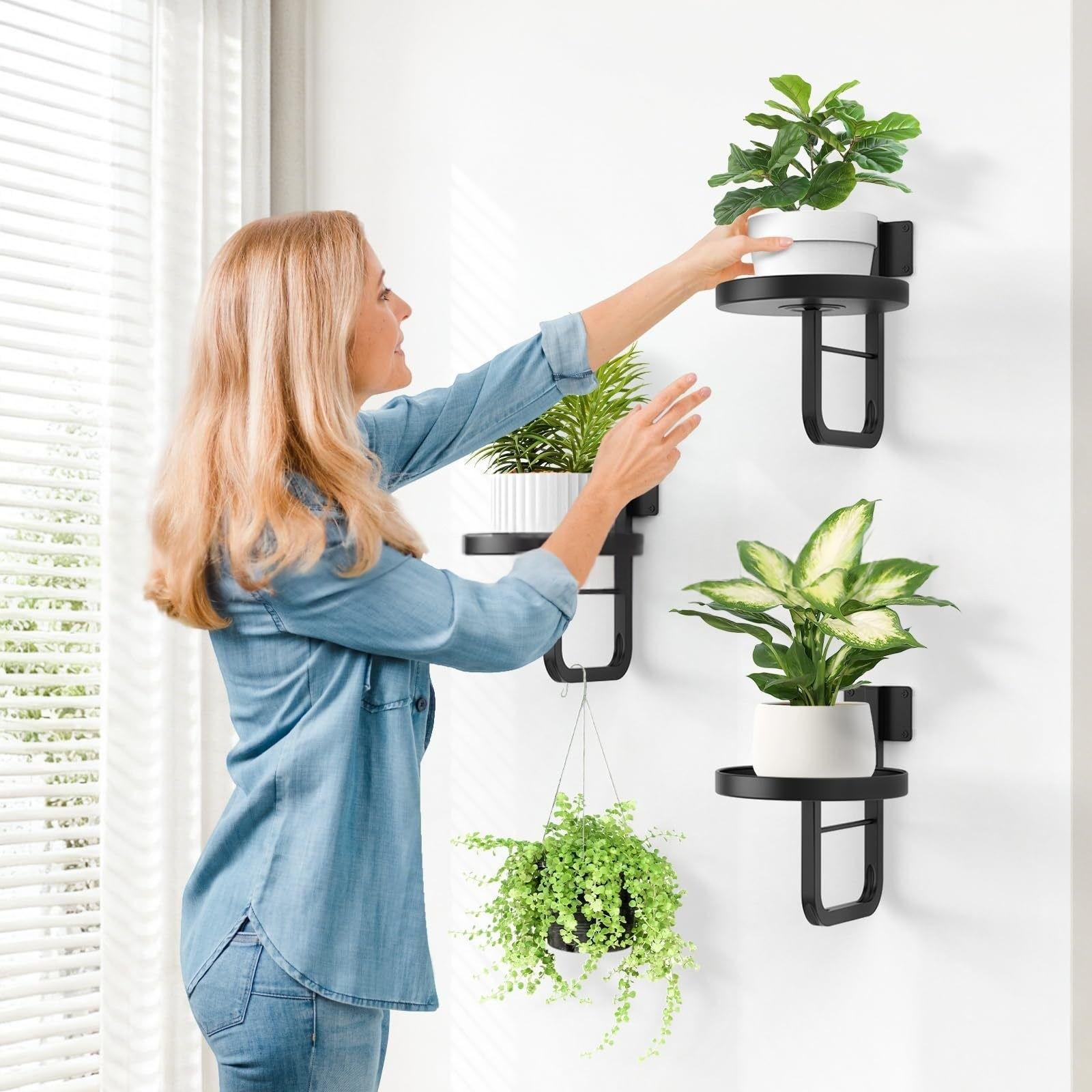 Wall-Mounted Plant Stand, Metal Wall-Hanging Planter Shelf, Indoor Plant Frame, Home Decor, Vertical Gardening Solution, Wall Plant Holder