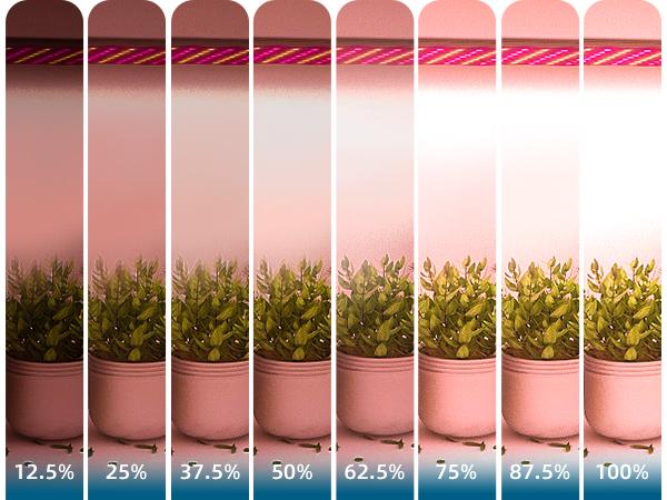 Barrina Ultra-Thin Grow Lights for Indoor Plants, 40W (4 x 10W) Full Spectrum, with 3/6/12H Auto On/Off Timer, 3 Spectrum Modes, 7 Dimmable Levels, 4 Packs