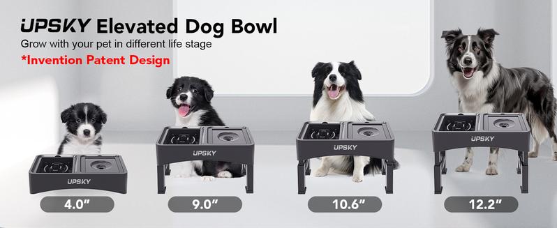 UPSKY 2-in-1 Elevated Dog Bowls Slow Feeder 4 Height Adjustable Raised Stand No Spill Anti-Slip Food Water Bowl for Small Medium Dogs with Anti-Slip Pads
