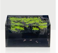 Hygger 8 Gallon LED Beginner Aquarium Bit with Ultra-quiet Power Filter Pump, 18W Colored led Light, Wide View Curved Shape Fish with mountain view background,with gift for fish lovers ,small for betta fish tank Hygger 8 Gallon LED Beginner Aquarium Bit with Ultra-quiet Power Filter Pump, 18W Colored led Light, Wide View Curved Shape Fish with mountain view background,with gift for fish lovers ,small for betta fish tank