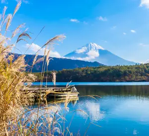 background preload poster image 