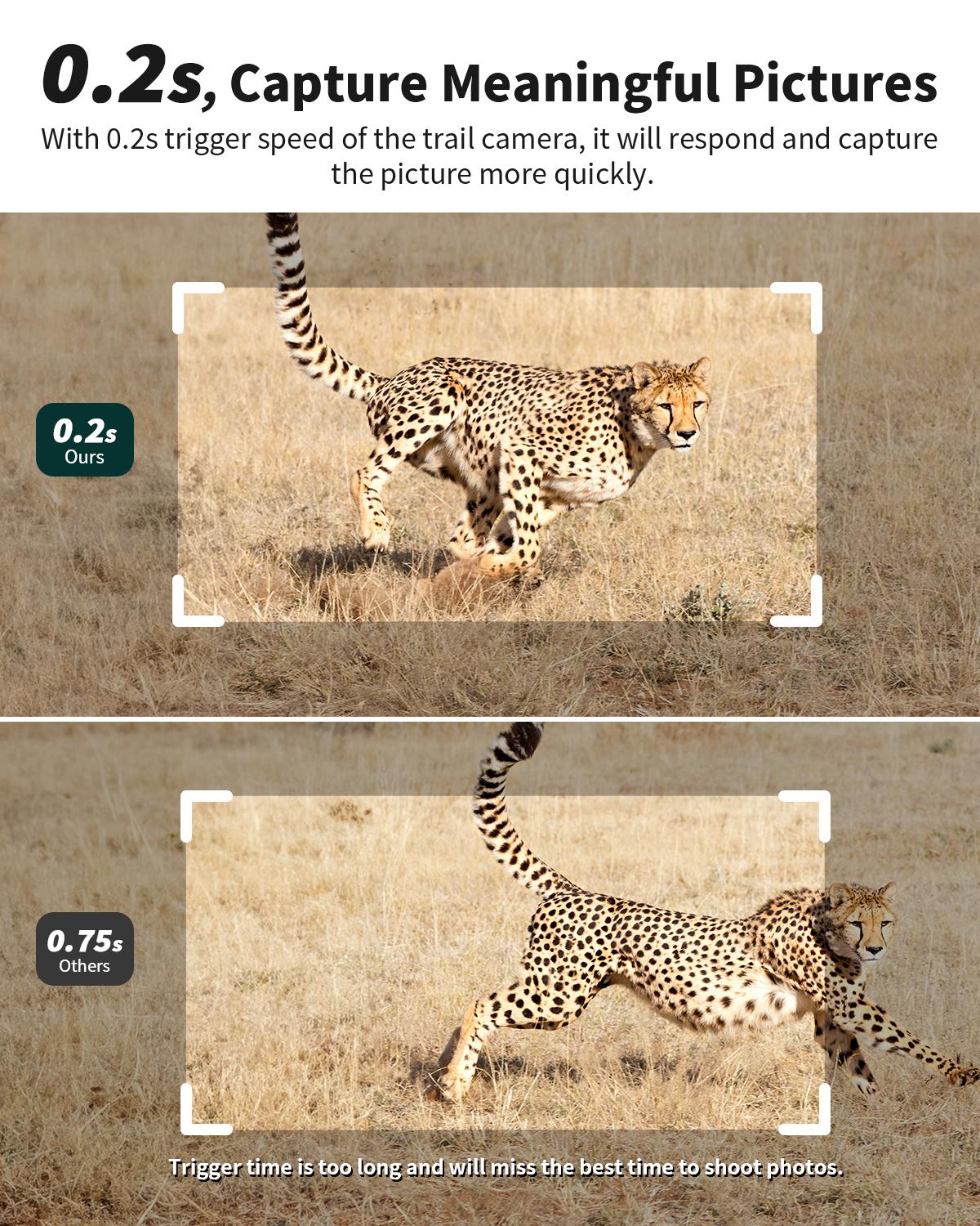 Solar Powered Wireless 4G LTE Trail Camera- 2K Live Video,WiFi Not Supported, Remote APP Controlled, WaterProof, Motion Activated, Night Vision, 4G Data Cellular Card Included (Data refill is required for Unlimited 4G data usage)