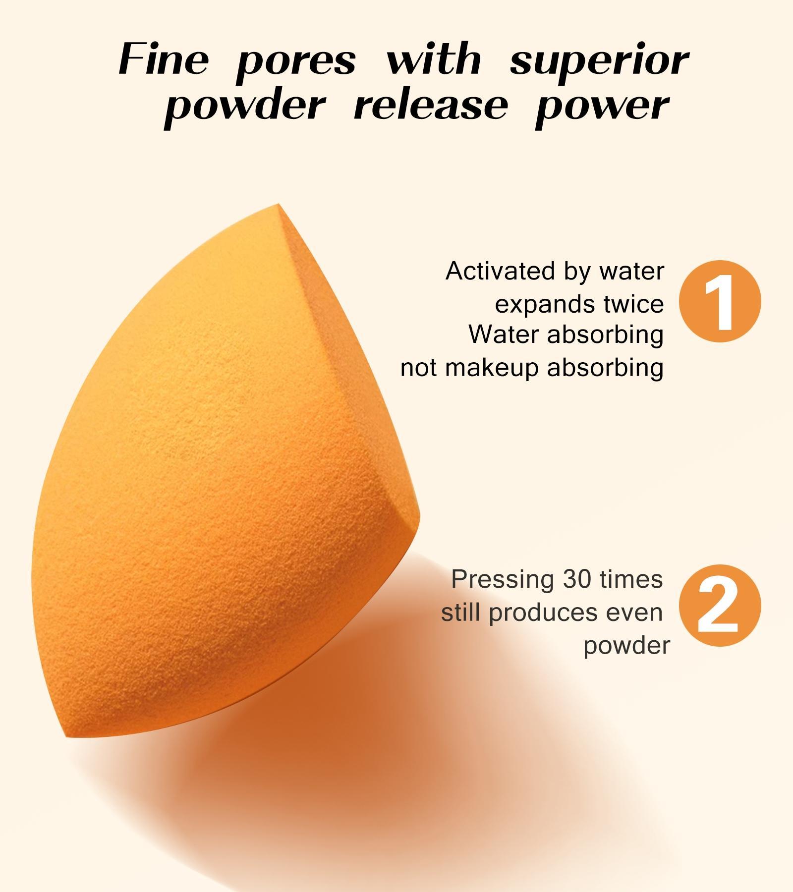 Professional Makeup Brush Set with 12 Brushes, 2 Beauty Sponges, 1 Powder Puff, Blush Brush, Loose Powder Brush, Artist Brush Set