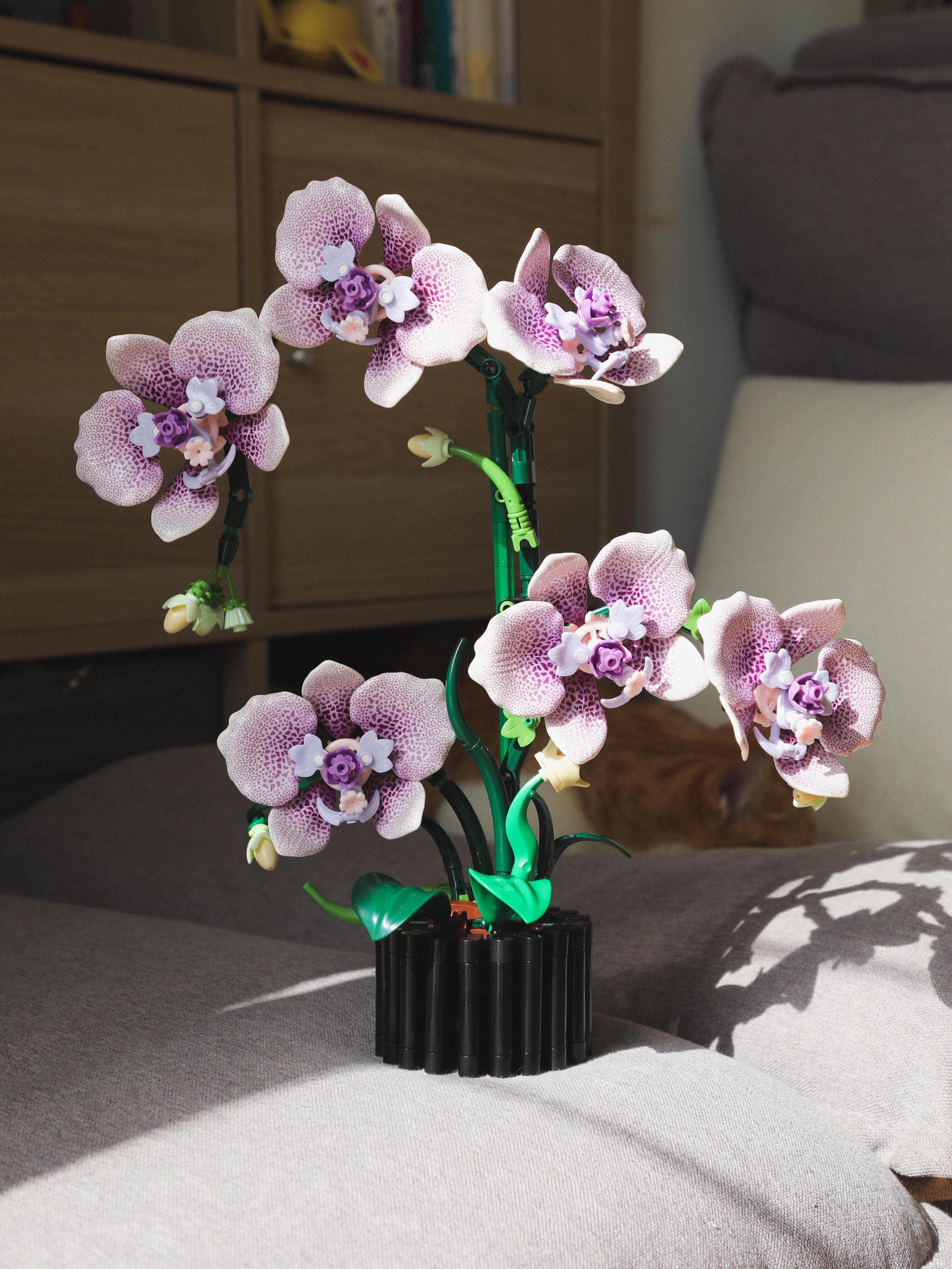 619pcs Orchid Building Block Set, Flexible Petal Joints Adjustable Angles, DIY Orchid Plant Kit, Adult Version, Home Decor Gift