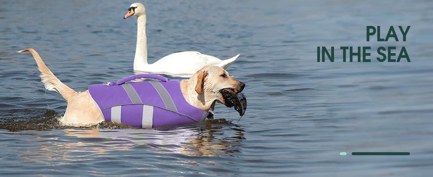 Kuoser Dog Life Jacket with Reflective Stripes, Adjustable High Visibility Dog Life Vest Ripstop Dog Lifesaver Pet Life Preserver with High Flotation Swimsuit