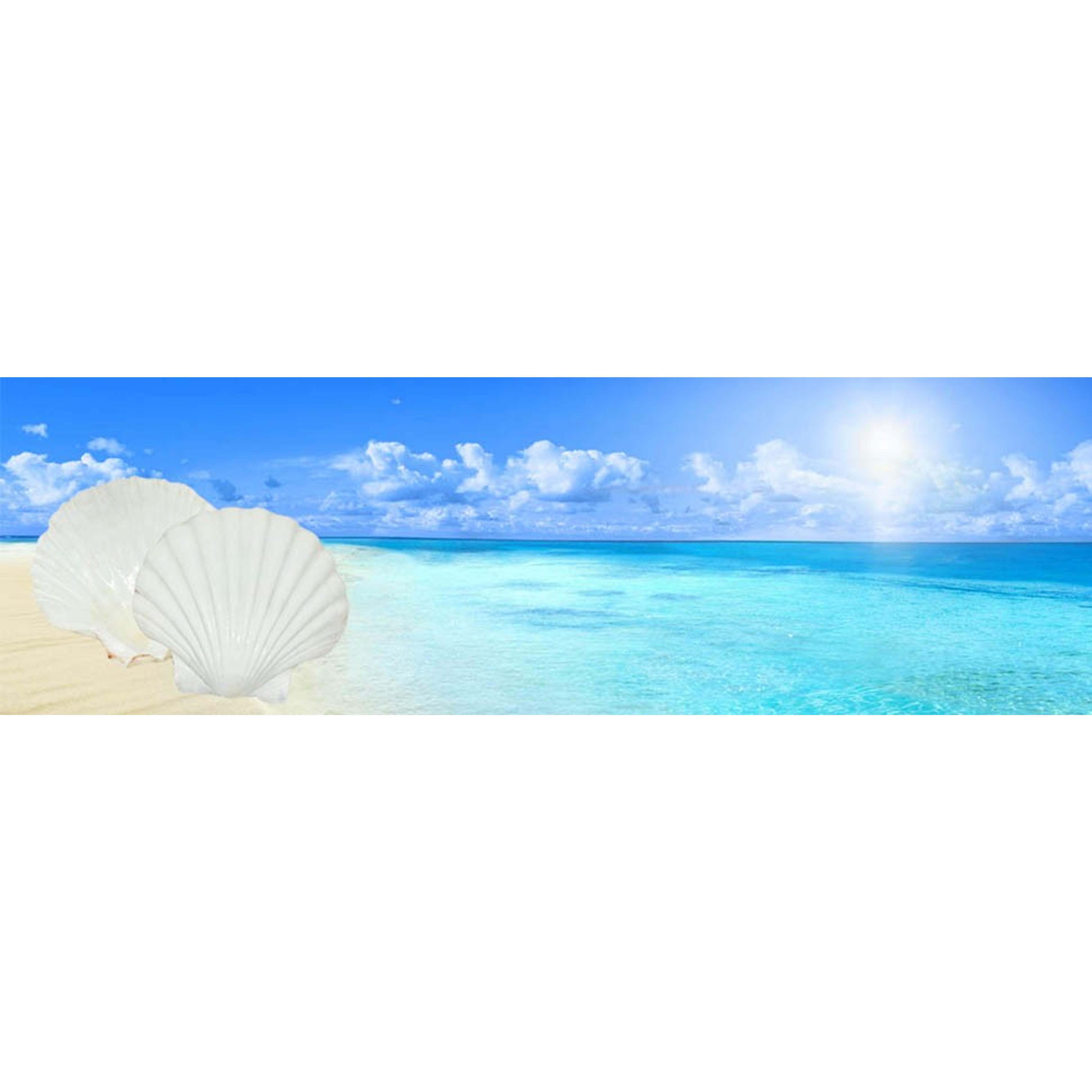 10PCS Large Natural Seashells White Scallop Shells 4"-5" | Sea Shells for Crafts, Baking, Cooking and Serving Food, DIY Crafts, Seashell Beach Decorations and Home Decor
