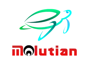 BookFong Toy Store BookFong Toy Store