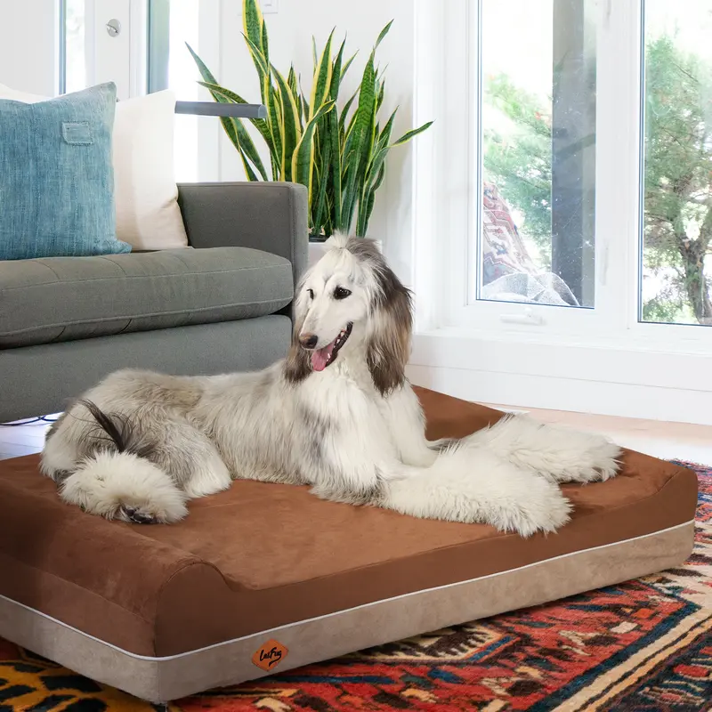 Product Introduction of Laifug Orthopedic Memory Foam Extra Large Dog Bed with double Pillow (50"x36"x10") Durable Water Proof Liner & Removable Washable Cover & Smart Design 37