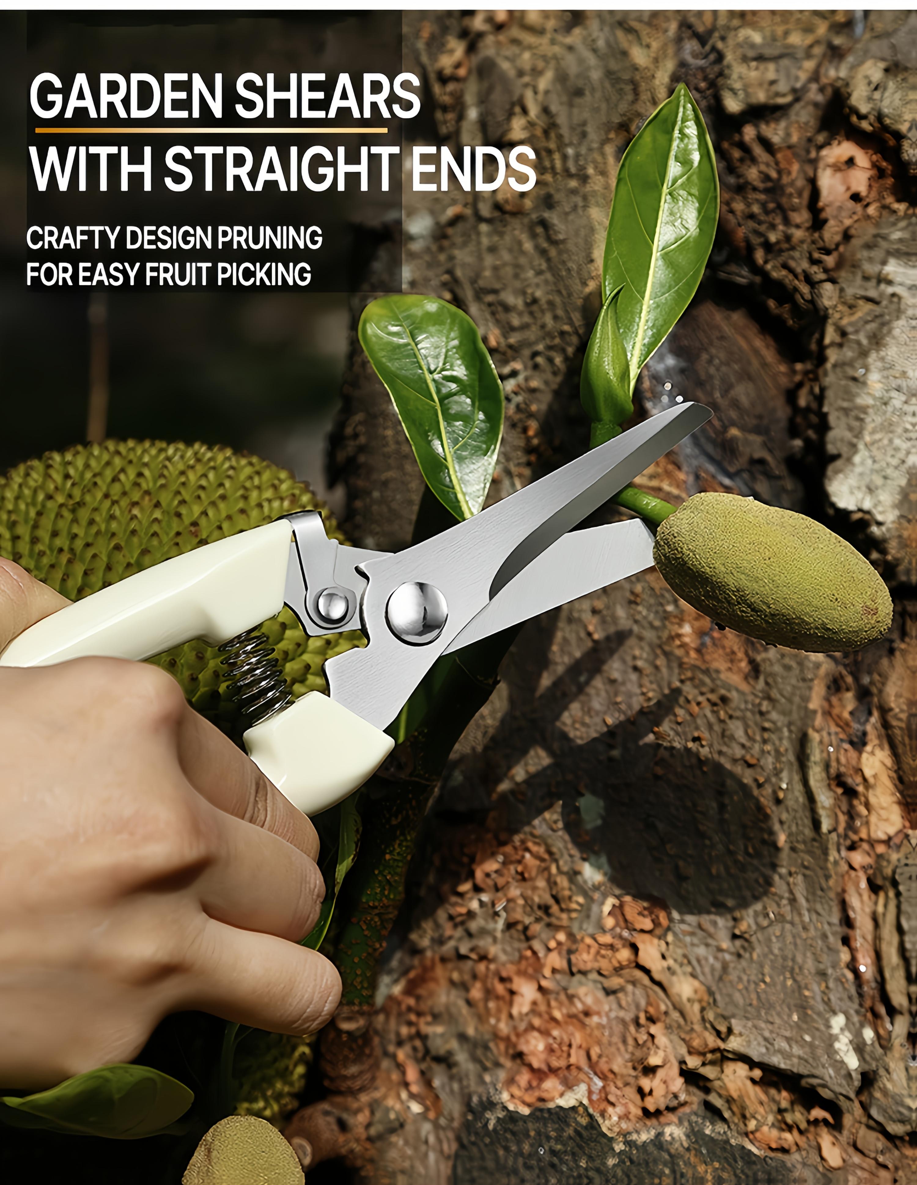 Professional Stainless Steel Garden Pruning Shears with an Ergonomic White Handle Designed to Save Effort, Perfect for Branches, Flowers, And Grafting Trees, As Well As Tasks in Orchards And Gardening