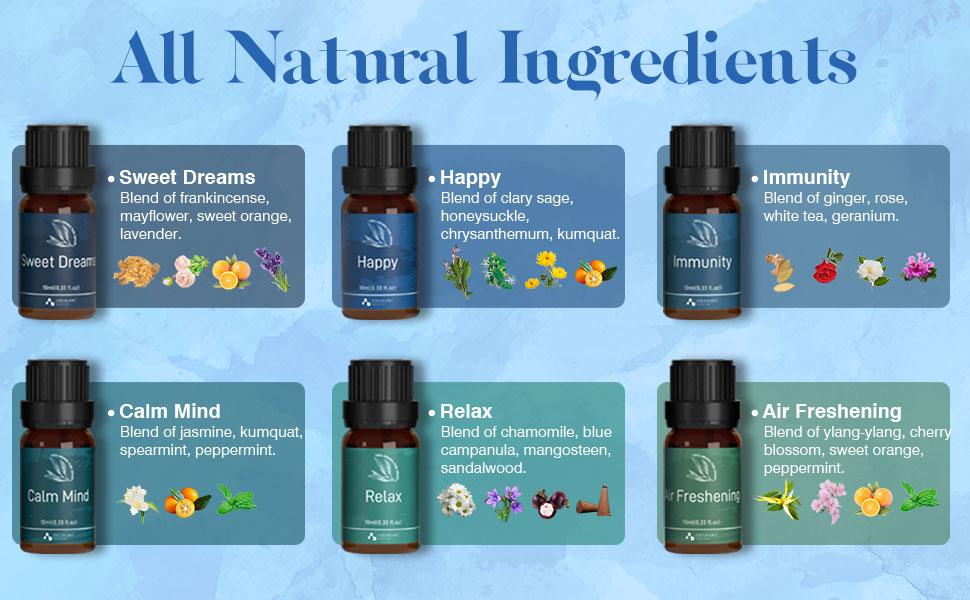 ASAKUKI Essential Oils Premium Blends for Diffusers for Home, Well-Being Kit, Fresh Fragrance Scent for Home, Air Freshening, Relax Aromatherapy Oils for Humidifiers, Massage, Home Smell Good, Wellness Solution, Therapeutic Sweet Dreams, 6x10ml