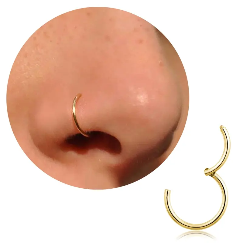 Women's 20G Solid Titanium Nose Rings Hoops - Non Tarnish, Silver/Gold Helix Pierced Ring, Septum Jewelry, 10mm/16g Easy-Opening for Tragus, Conch