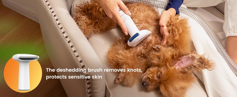 oneisall Cordless Pet Grooming Vacuum Kit,Dog Grooming Kit with 5100mAh & 11-in-1 Pet Tools, 3L Dust Cup, Low Noise for Shedding & Grooming and Suitable for Home/Car Cleaning,Comfy L1