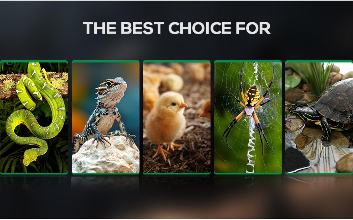 T5 Reptile Light Fixture Combo Kit 24W Light Fixture Reptile Terrarium Hood 10.0 UVB Light Bulb dimmable Fluorescent Tube Ideal for Tropical and Deserts Such as Bearded Dragon Lizards and Tortoises T5 Reptile Light Fixture Combo Kit 24W Light Fixture Reptile Terrarium Hood 10.0 UVB Light Bulb dimmable Fluorescent Tube Ideal for Tropical and Deserts Such as Bearded Dragon Lizards and Tortoises