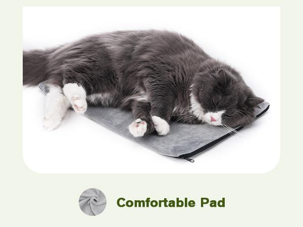 Pecute Expandable Cat Backpack with Breathable Mesh for Cats Small Dogs Puppies