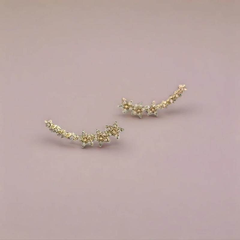Stainless Steel Floral Earrings for Women, Elegant Border Design, Hypoallergenic Flower Studs, Valentine's Gift, Wedding & Daily Jewelry