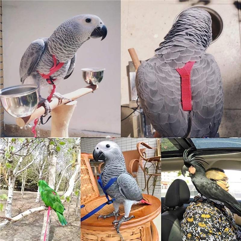 Pet Bird Release Rope, Phoenix Leash, Parrot Outdoor Training Harness, Bird Walking Backpack, Tiger Skin Kingfisher Peony Bird Small Animal Halter
