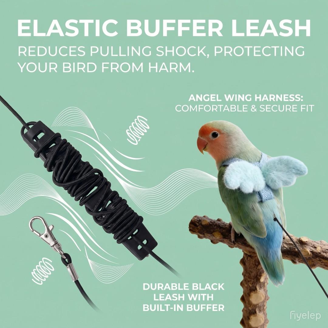 Adjustable Parrot Harness Leash Set, Suitable for Budgies, Lovebirds, Sun Conures, Small Pet Bird Training Kit, Comfortable & Secure