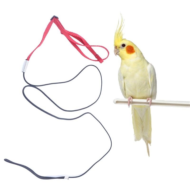 Pet Bird Release Rope, Phoenix Leash, Parrot Outdoor Training Harness, Bird Walking Backpack, Tiger Skin Kingfisher Peony Bird Small Animal Halter